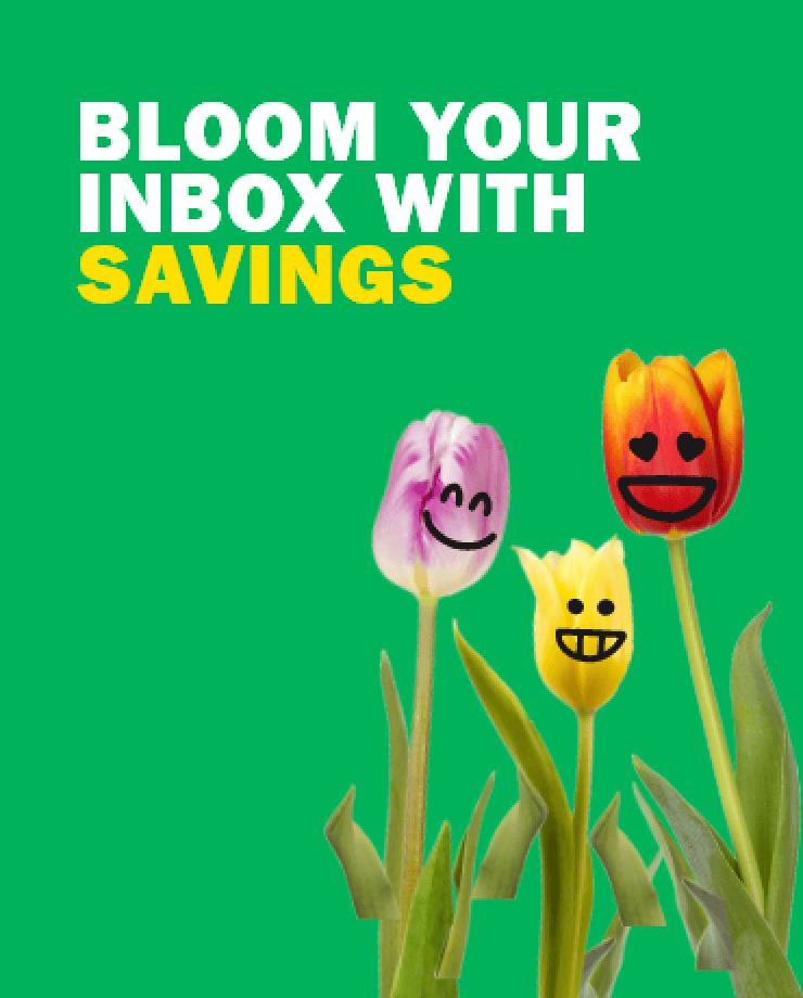 Bloom Your Inbox With Saving